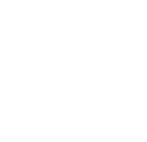 domaine-de-taysse-logo-blanc